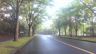 筑波大学の中の道路