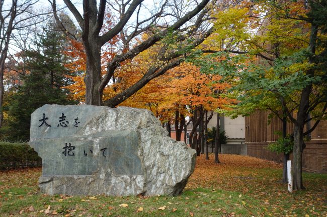 北海道大学の景色 (13)