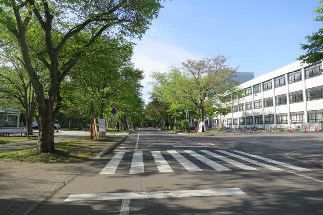 北海道大学の景色 (24)