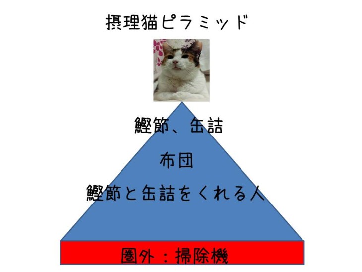 摂理猫ピラミッド
