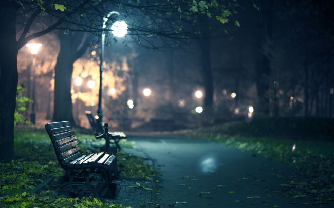 6929611-park-bench-at-night