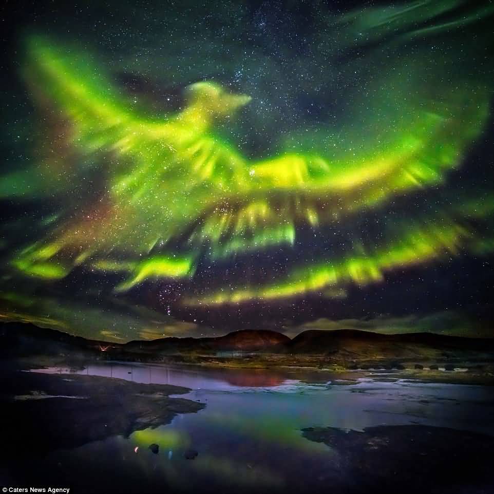 オーロラ火の鳥“フェニックス”＠アイスランド