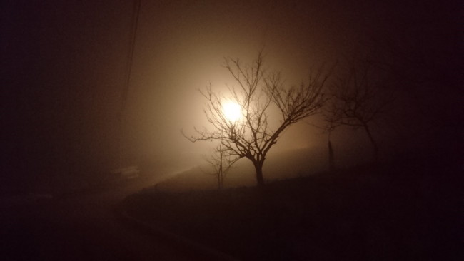 月明洞霧の夜景2016-03-18 (6)