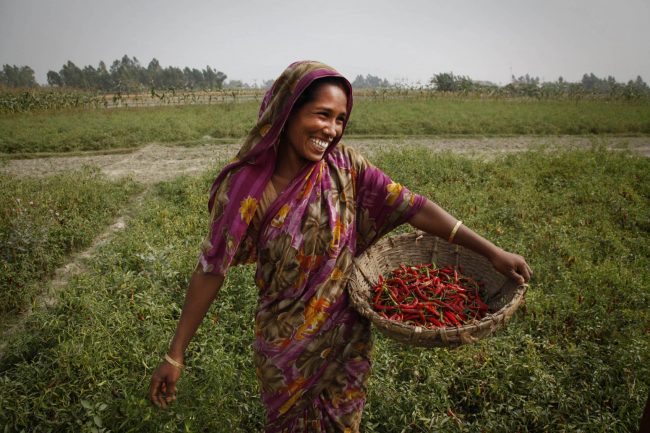 バングラデシュ　女性　笑顔　農業