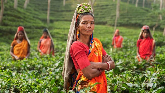 バングラディシュ　農家　女性