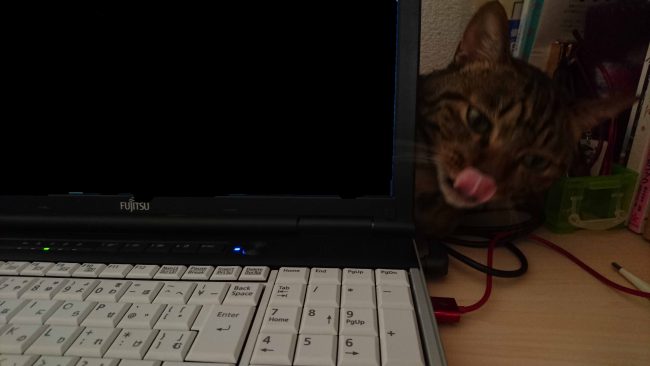 摂理猫二世とパソコン201609 (7)