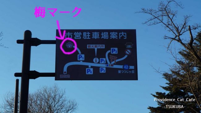 筑波山梅林 満開 梅まつり 駐車場とアクセス 梅画像も キリスト教福音宣教会rioブログ Cgmnavi