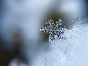 吹雪吹く 人生の冬にも 幸せは行くー鄭明析牧師の詩