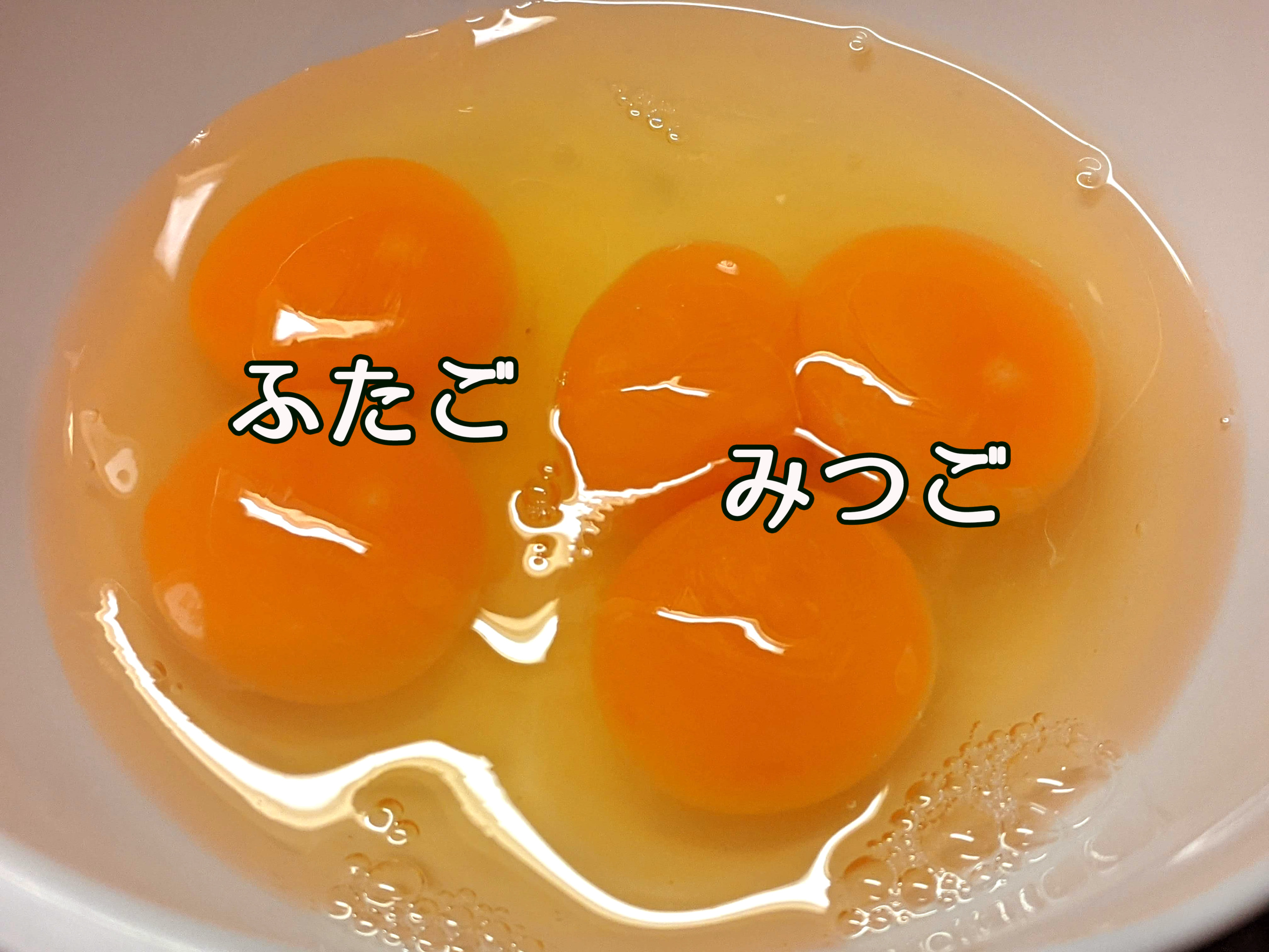 卵みつごふたご2021