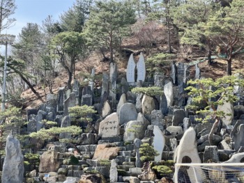 202203月明洞キリスト教福音宣教会Wolmyeongdong (1)