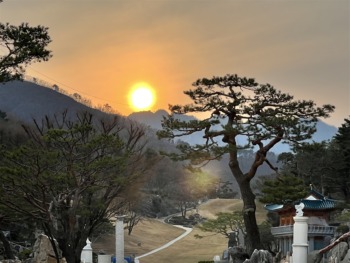 202204月明洞キリスト教福音宣教会wolmyeongdong (7)