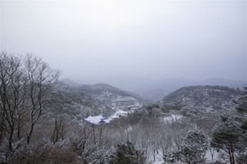 202201月明洞Wolmyeongdongキリスト教福音宣教会 (55)