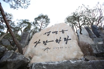 202202月明洞キリスト教福音宣教会Wolmyeongdong (16)