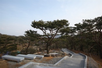 202202月明洞キリスト教福音宣教会Wolmyeongdong (25)