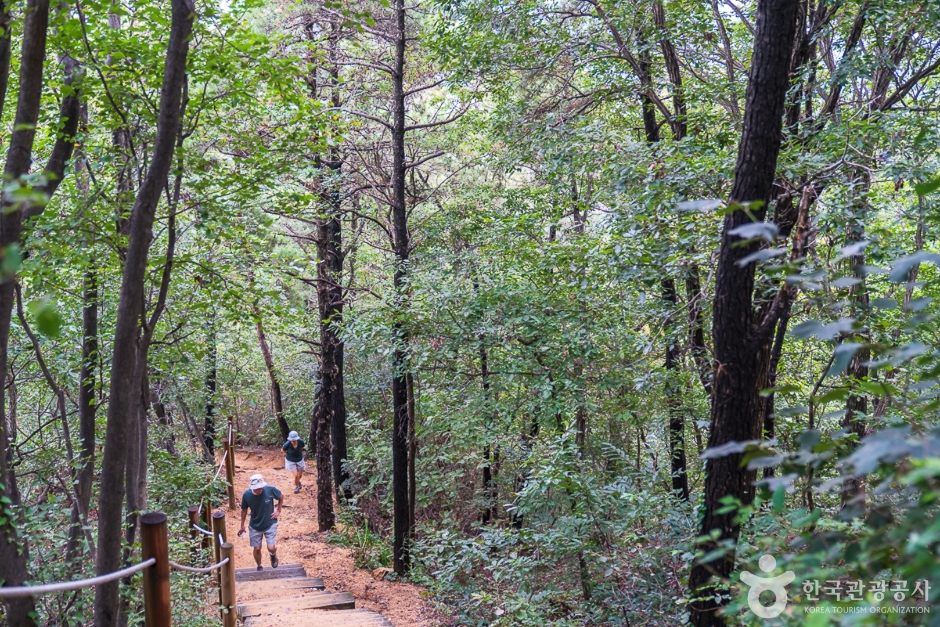 ペバン山　登山道の様子　出典：VISIT KOREA