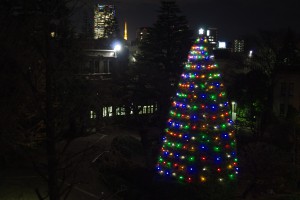 青山学院大学のクリスマス